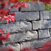 Best Way Stone Rockton Wall